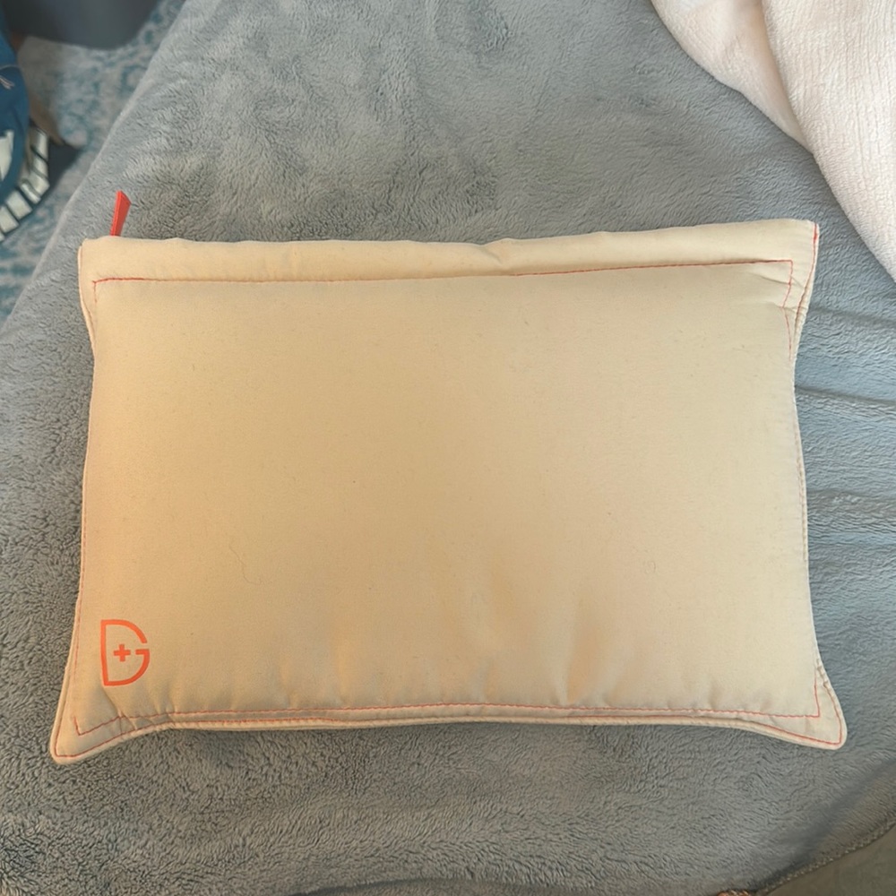 Dr Gross pillow / zipper pouch - brand new